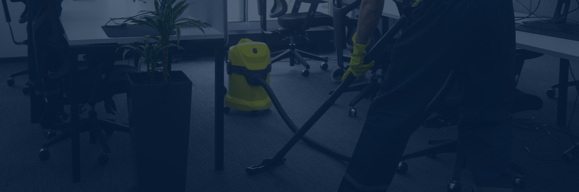 Profesyonel Temizlik Hizmetleri